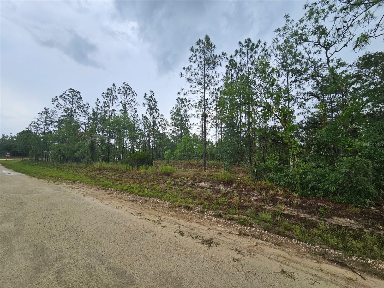 231 SE 146TH TER, WILLISTON, FL — photo 4