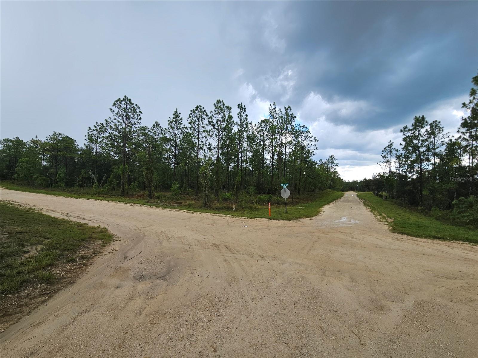 231 SE 146TH TER, WILLISTON, FL — photo 5