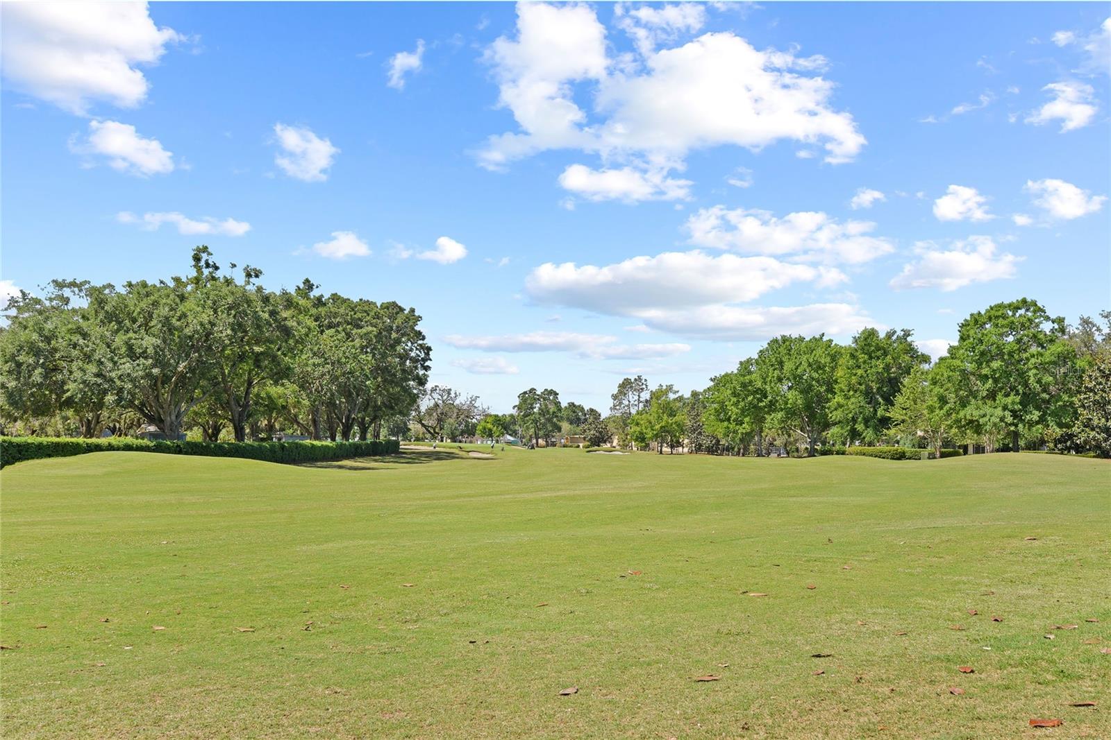 1037 N VIRGINIA AVE, WINTER PARK, FL — photo 12