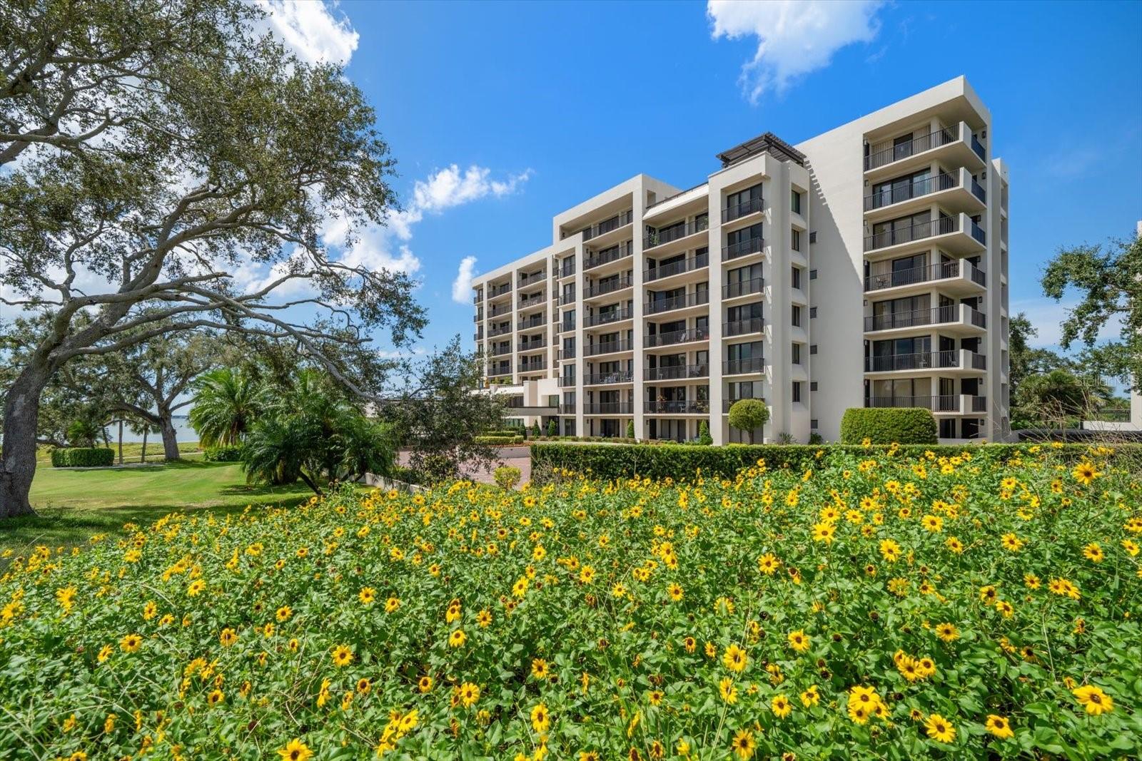 4 BELLEVIEW BLVD #106, BELLEAIR, FL — photo 66