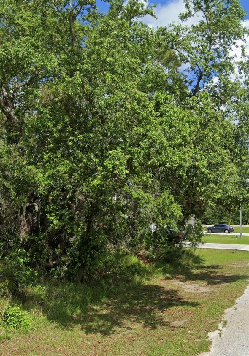 1504 ELOISE CT, KISSIMMEE, FL