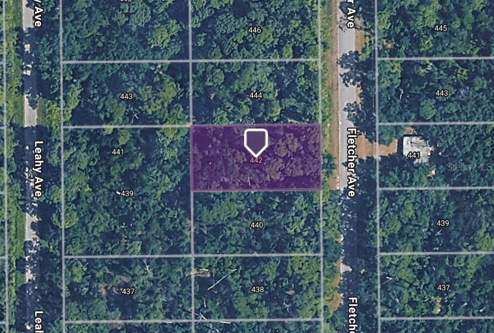 442 FLETCHER AVE, LAKE PLACID, FL