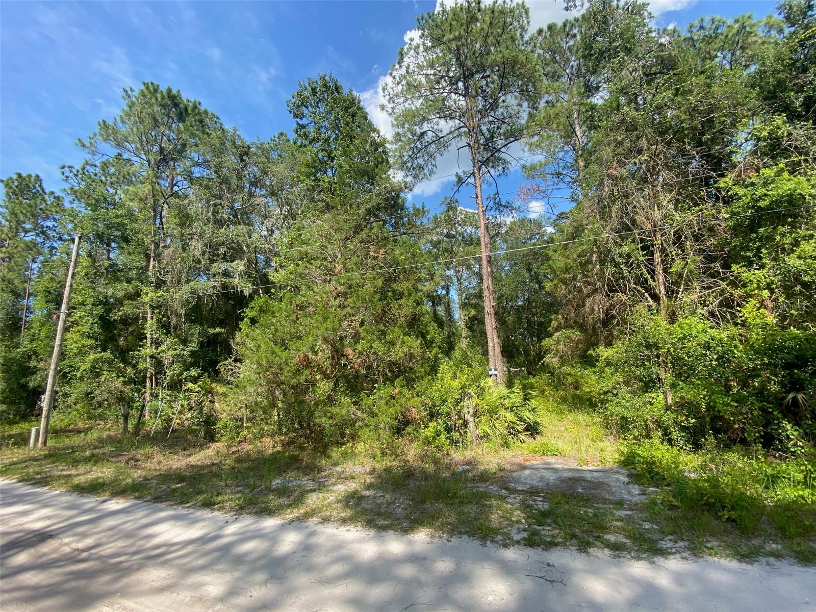 13701 NE 66TH AVE, CITRA, FL