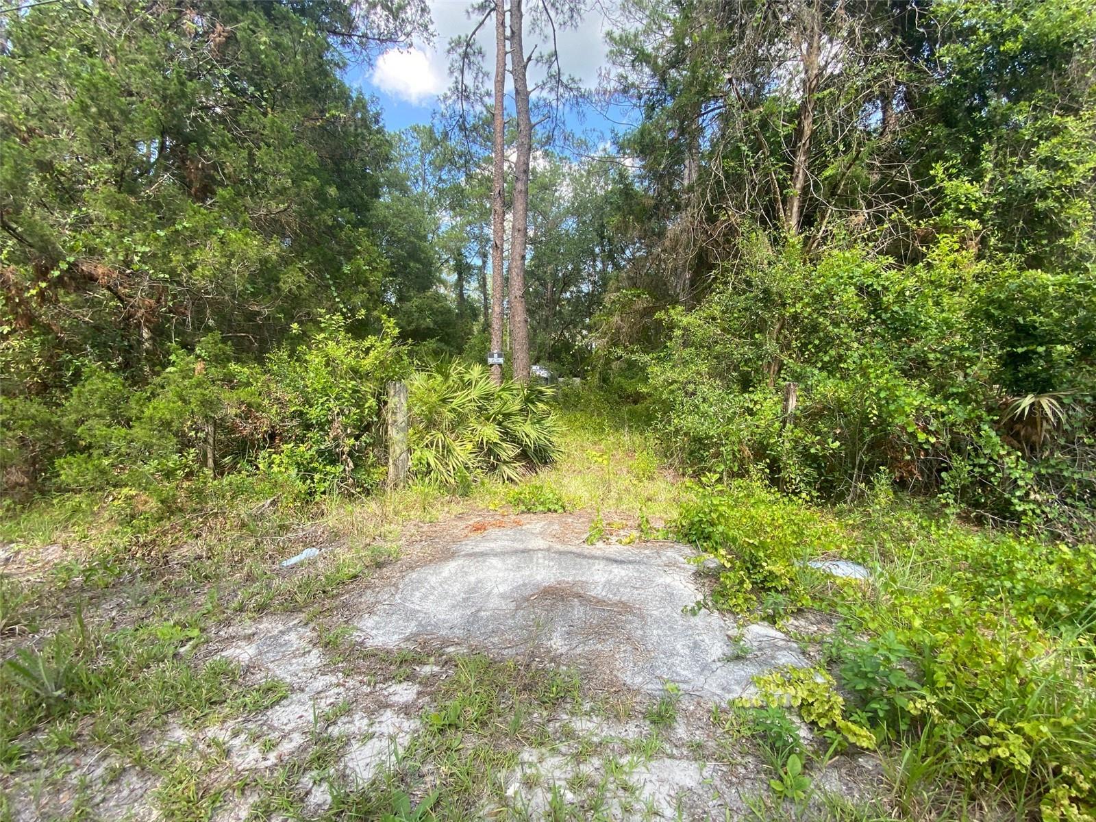 13701 NE 66TH AVE, CITRA, FL — photo 2