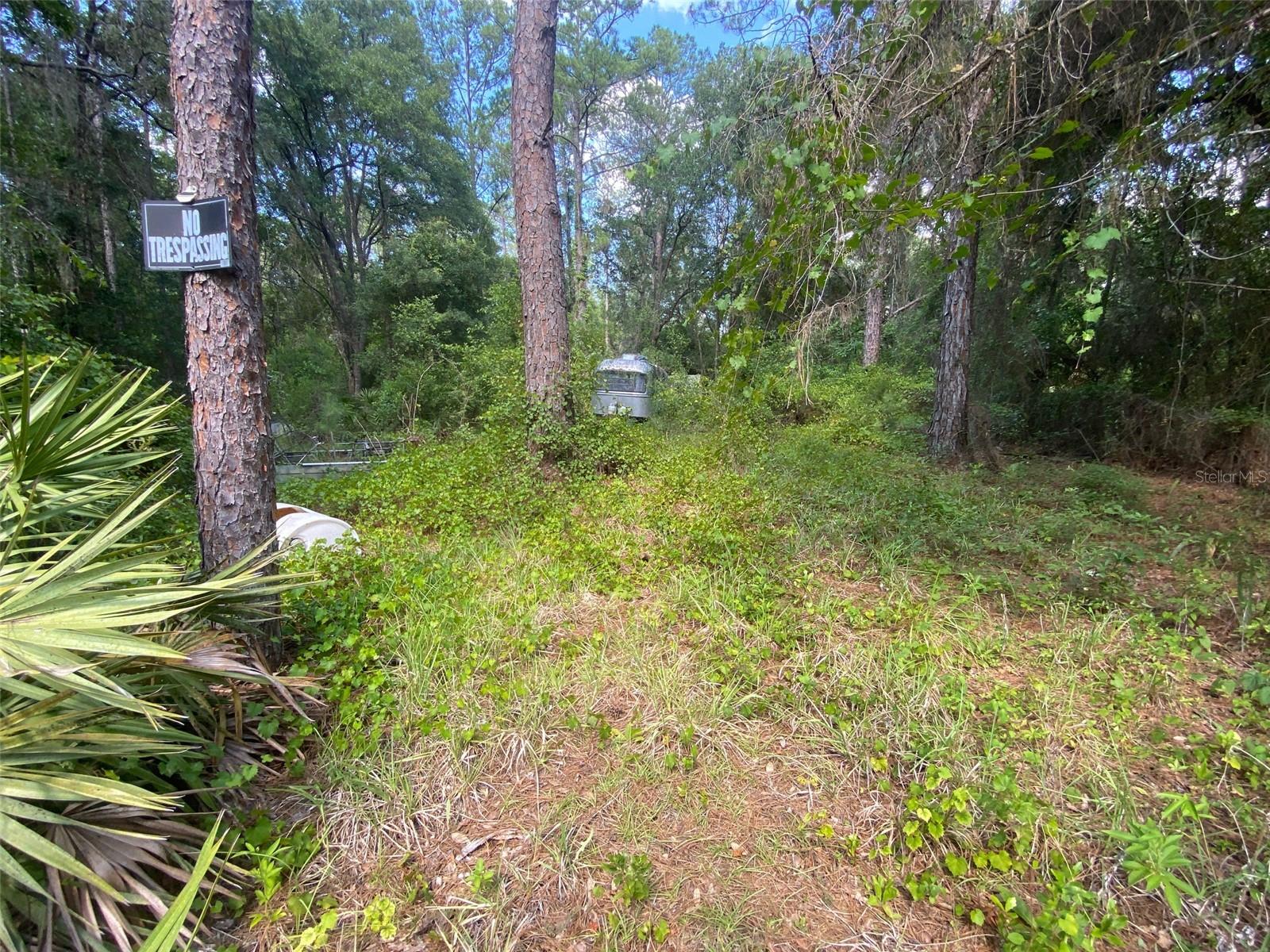 13701 NE 66TH AVE, CITRA, FL — photo 3