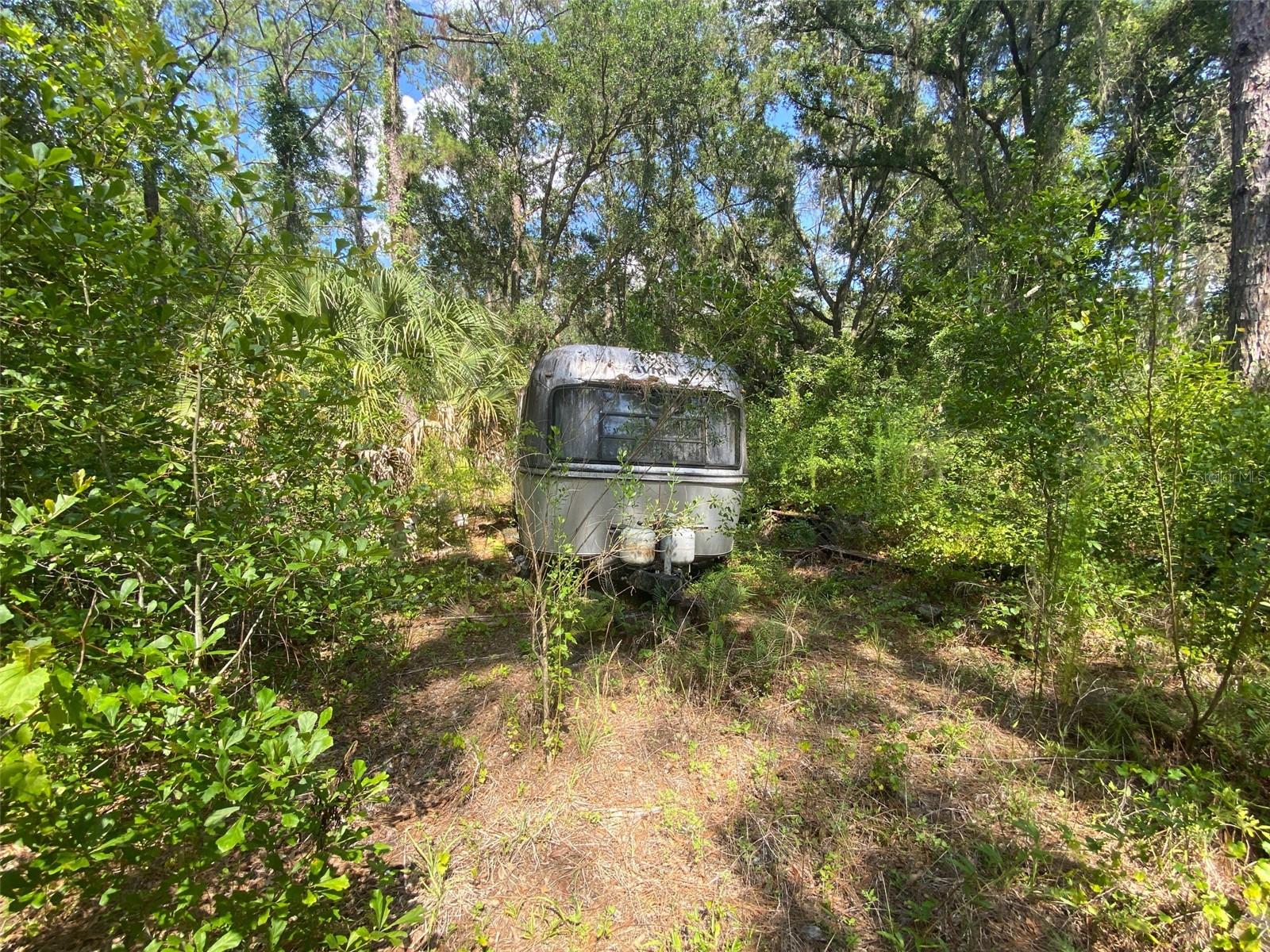 13701 NE 66TH AVE, CITRA, FL — photo 4
