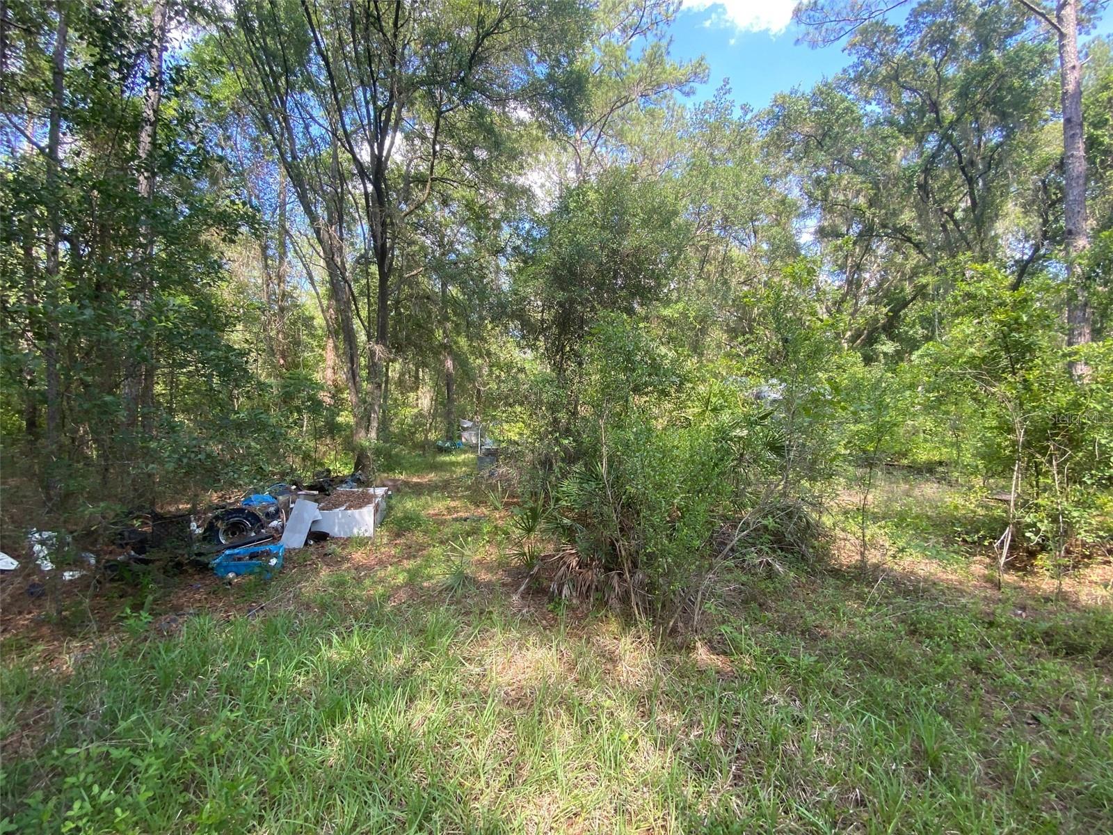 13701 NE 66TH AVE, CITRA, FL — photo 6