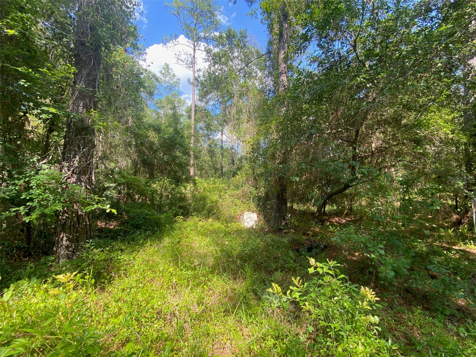 13701 NE 66TH AVE, CITRA, FL — photo 9