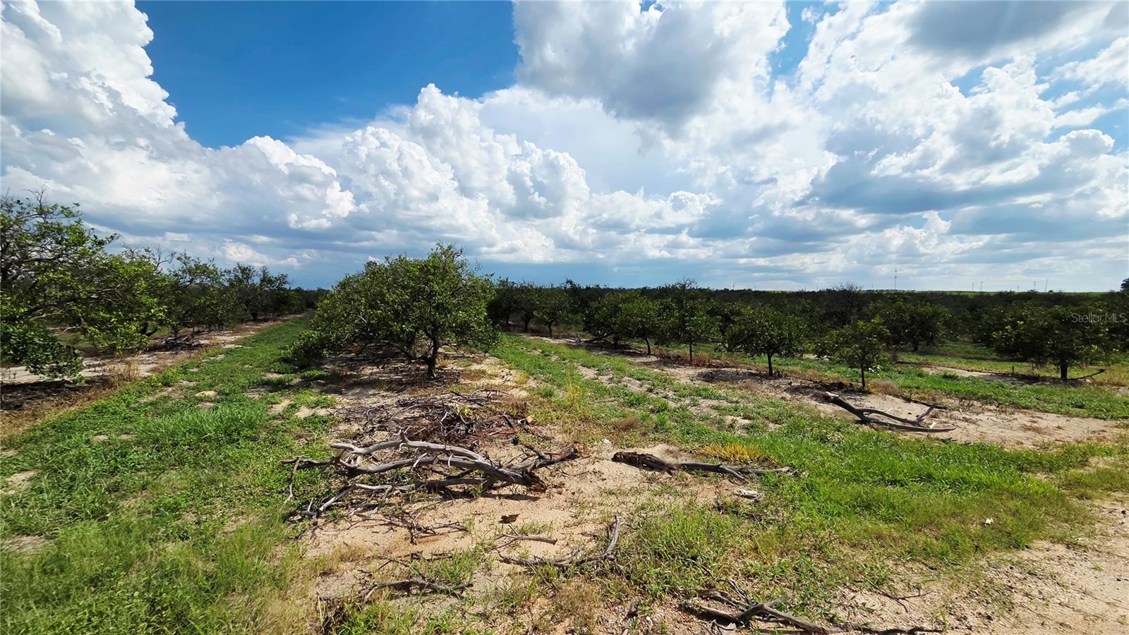0 SEMINOLE RD, BABSON PARK, FL — photo 8