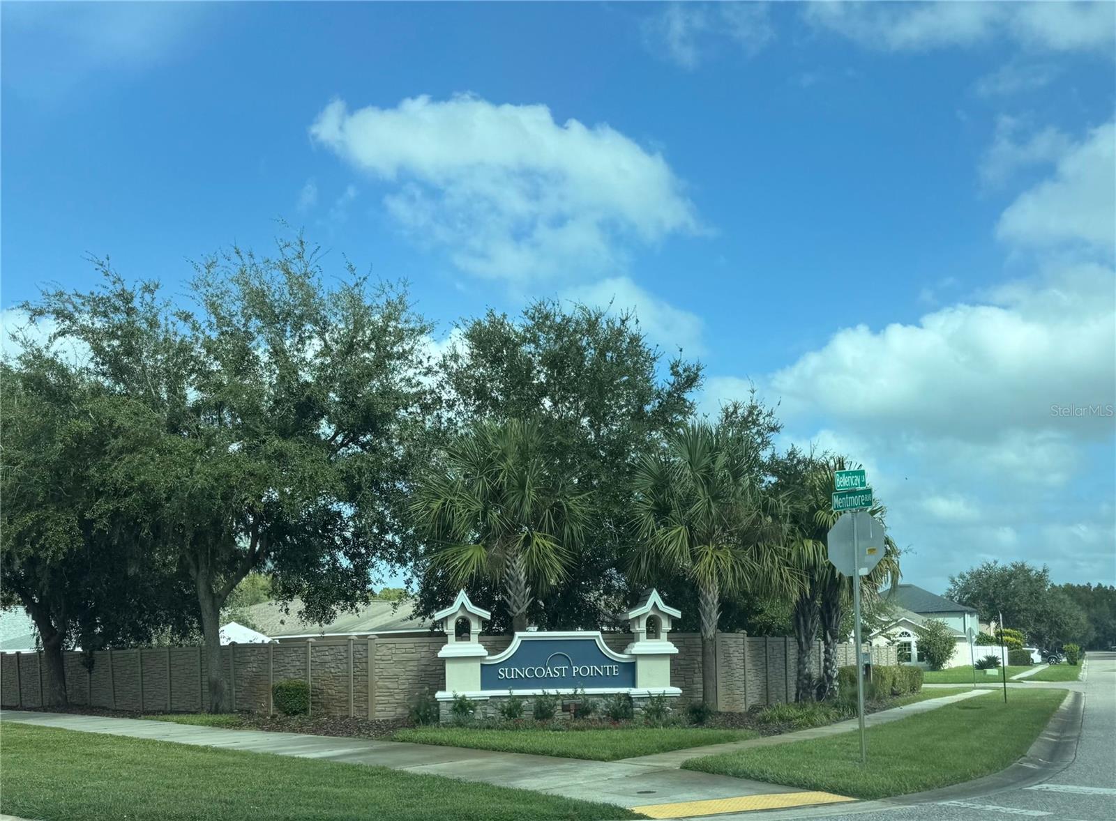 3226 BELLERICAY LN, LAND O LAKES, FL — photo 2