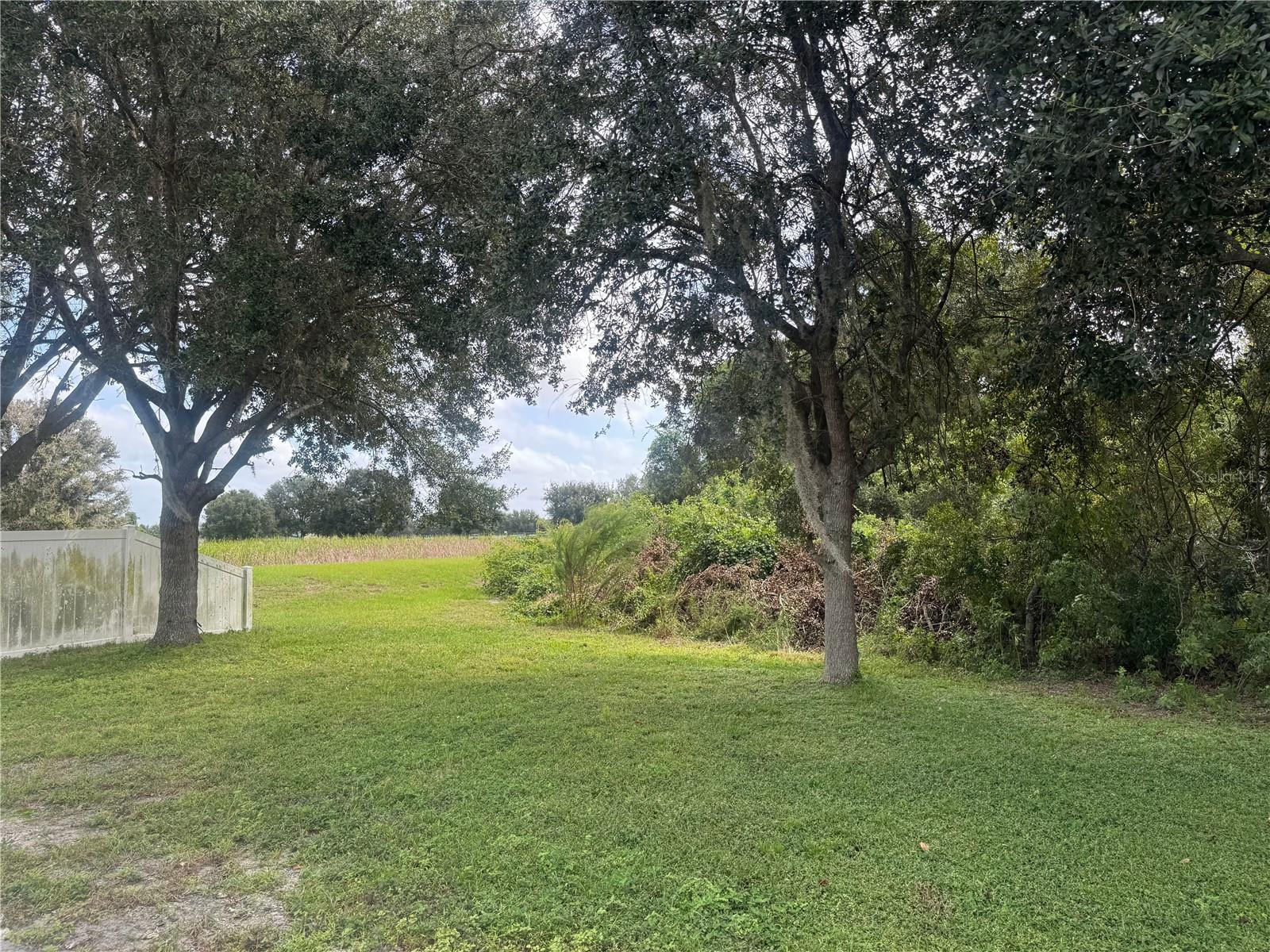 3226 BELLERICAY LN, LAND O LAKES, FL — photo 20