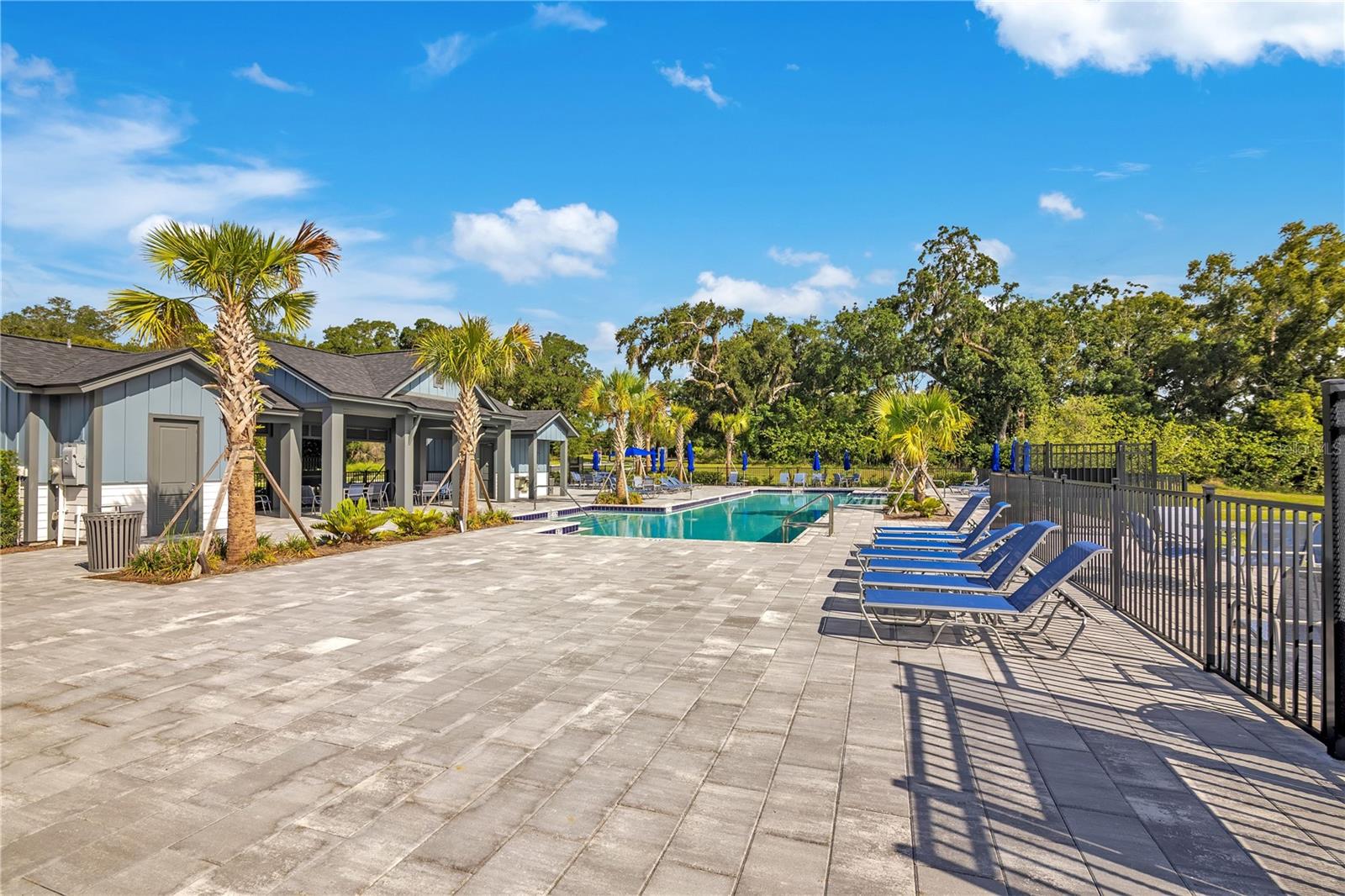 5972 SACRED OAK AVE, MOUNT DORA, FL — photo 44