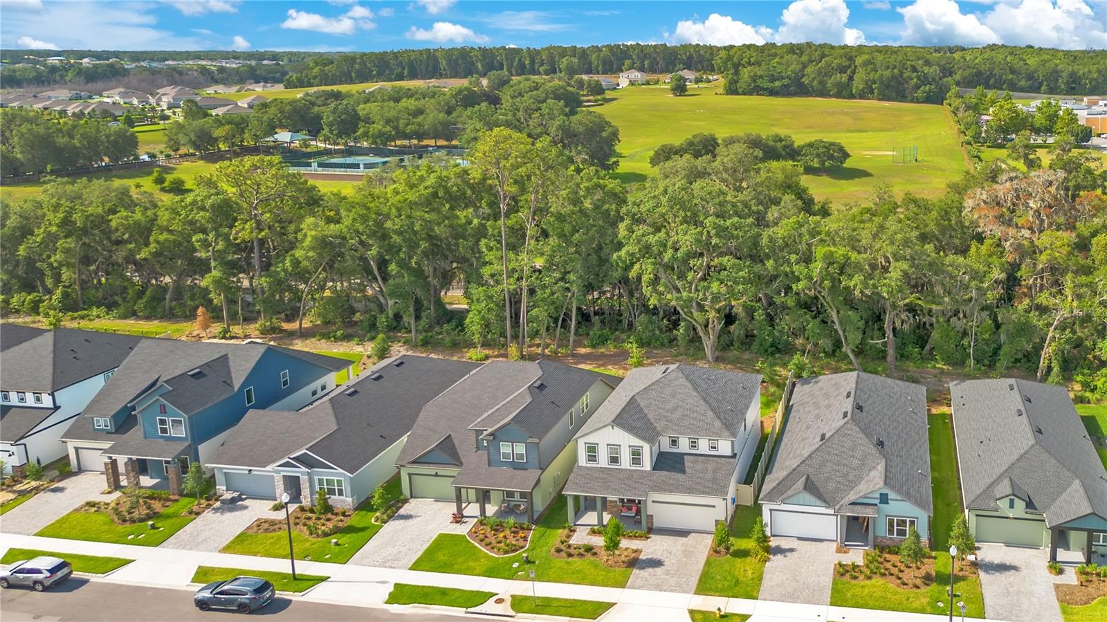 5972 SACRED OAK AVE, MOUNT DORA, FL — photo 56