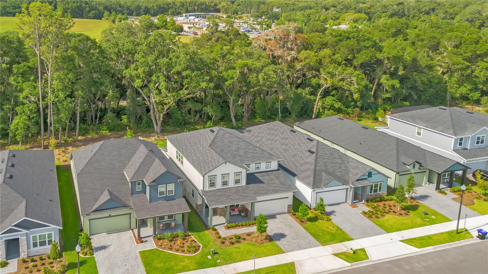 5972 SACRED OAK AVE, MOUNT DORA, FL — photo 57