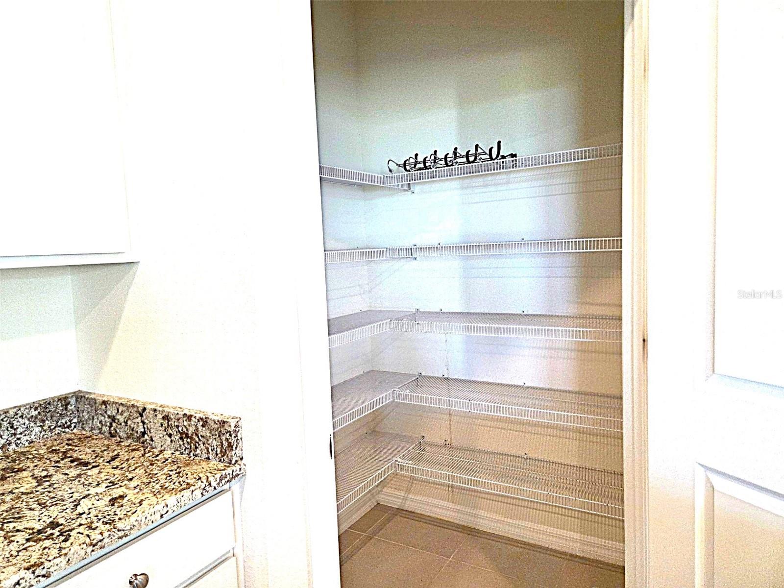 3908 MOSSY LIMB CT, PALMETTO, FL — photo 6