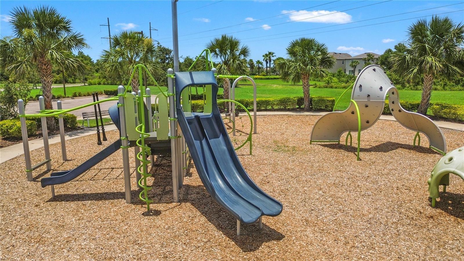 3908 MOSSY LIMB CT, PALMETTO, FL — photo 29