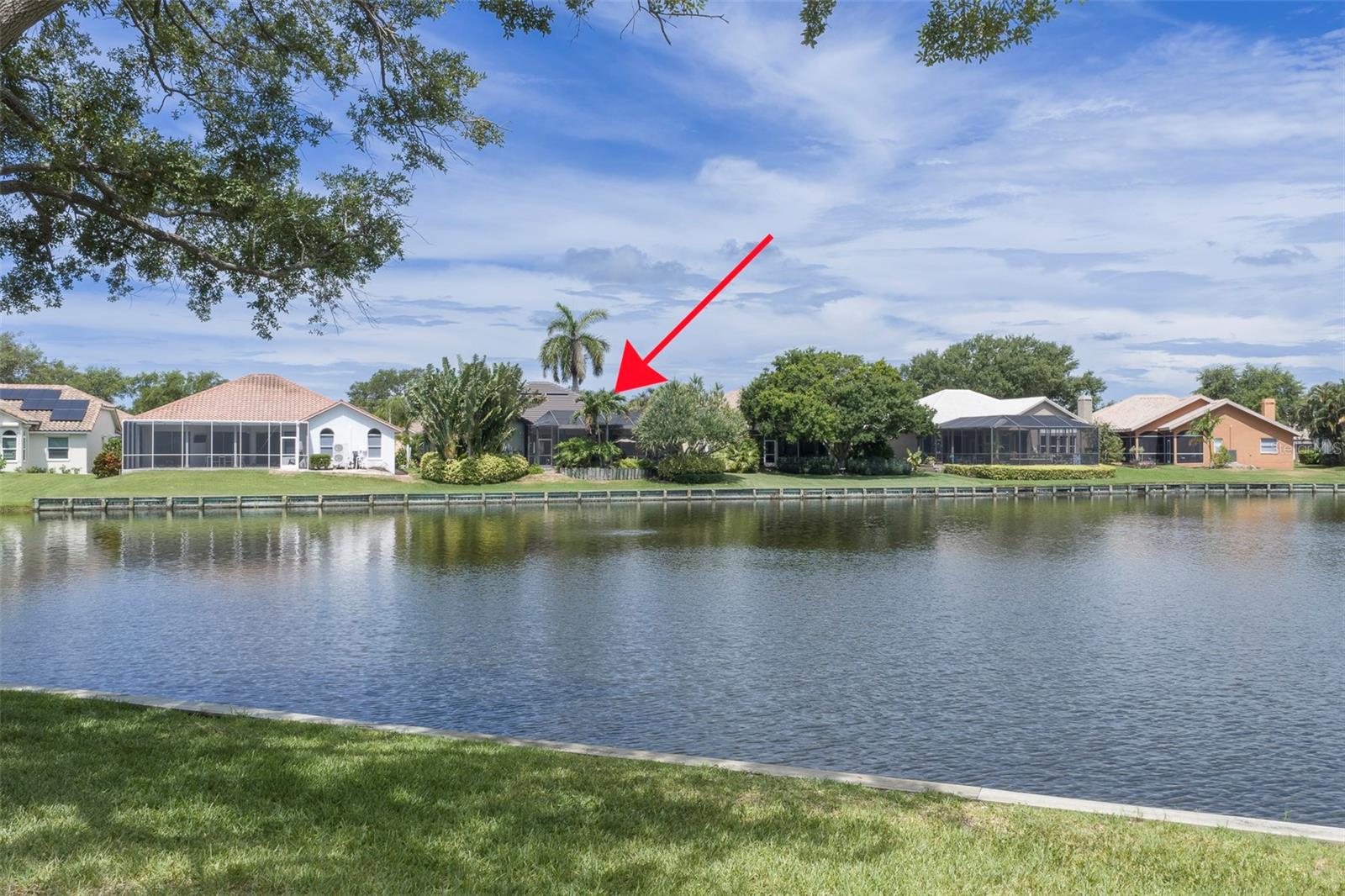 4834 WINDMILL PALM TER NE, ST PETERSBURG, FL — photo 7
