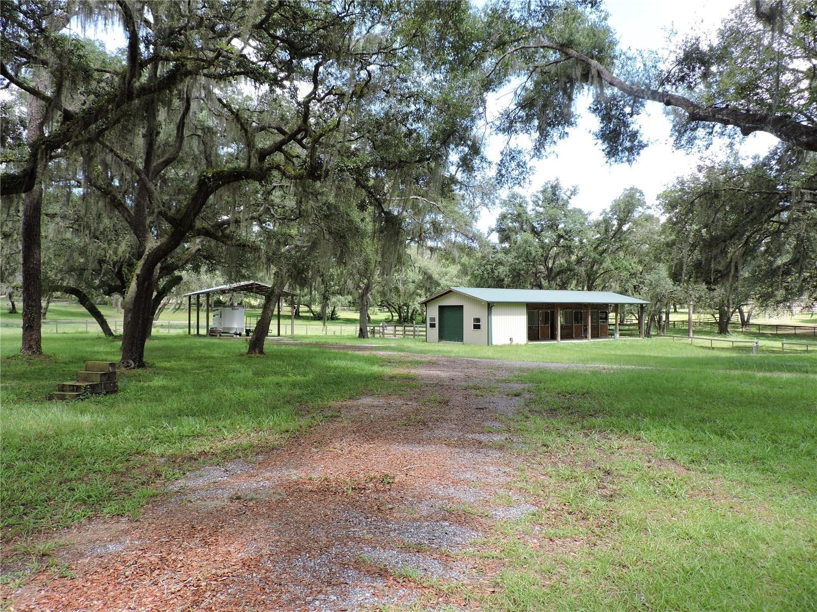 29248 WILDLIFE LN, BROOKSVILLE, FL — photo 3