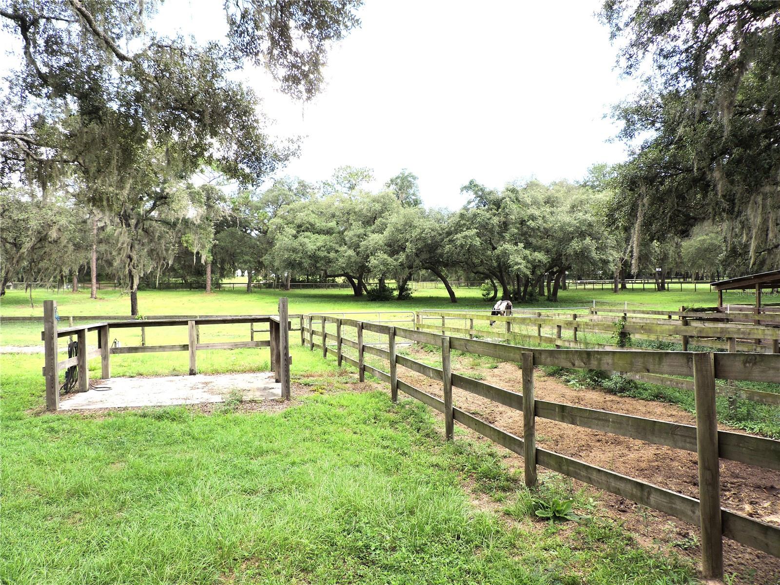 29248 WILDLIFE LN, BROOKSVILLE, FL — photo 10
