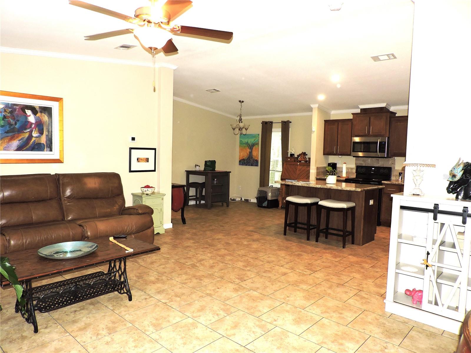 29248 WILDLIFE LN, BROOKSVILLE, FL — photo 11