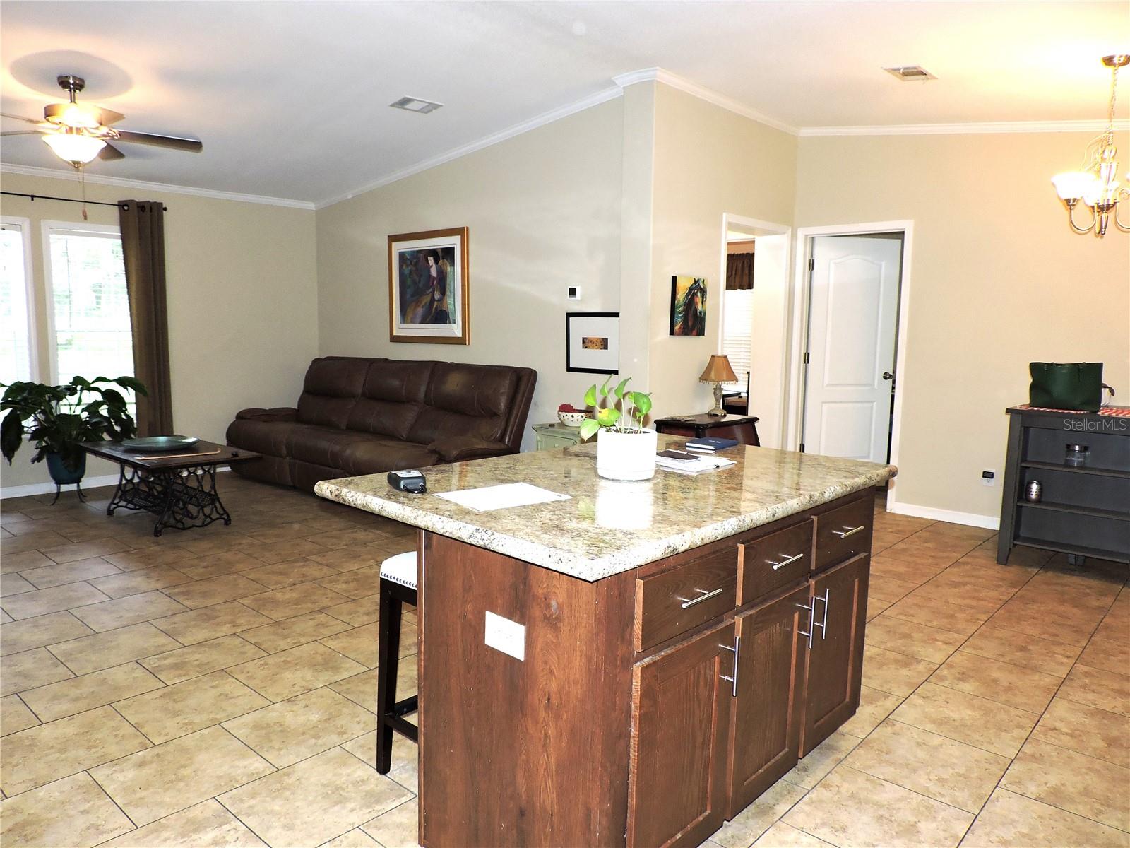 29248 WILDLIFE LN, BROOKSVILLE, FL — photo 16