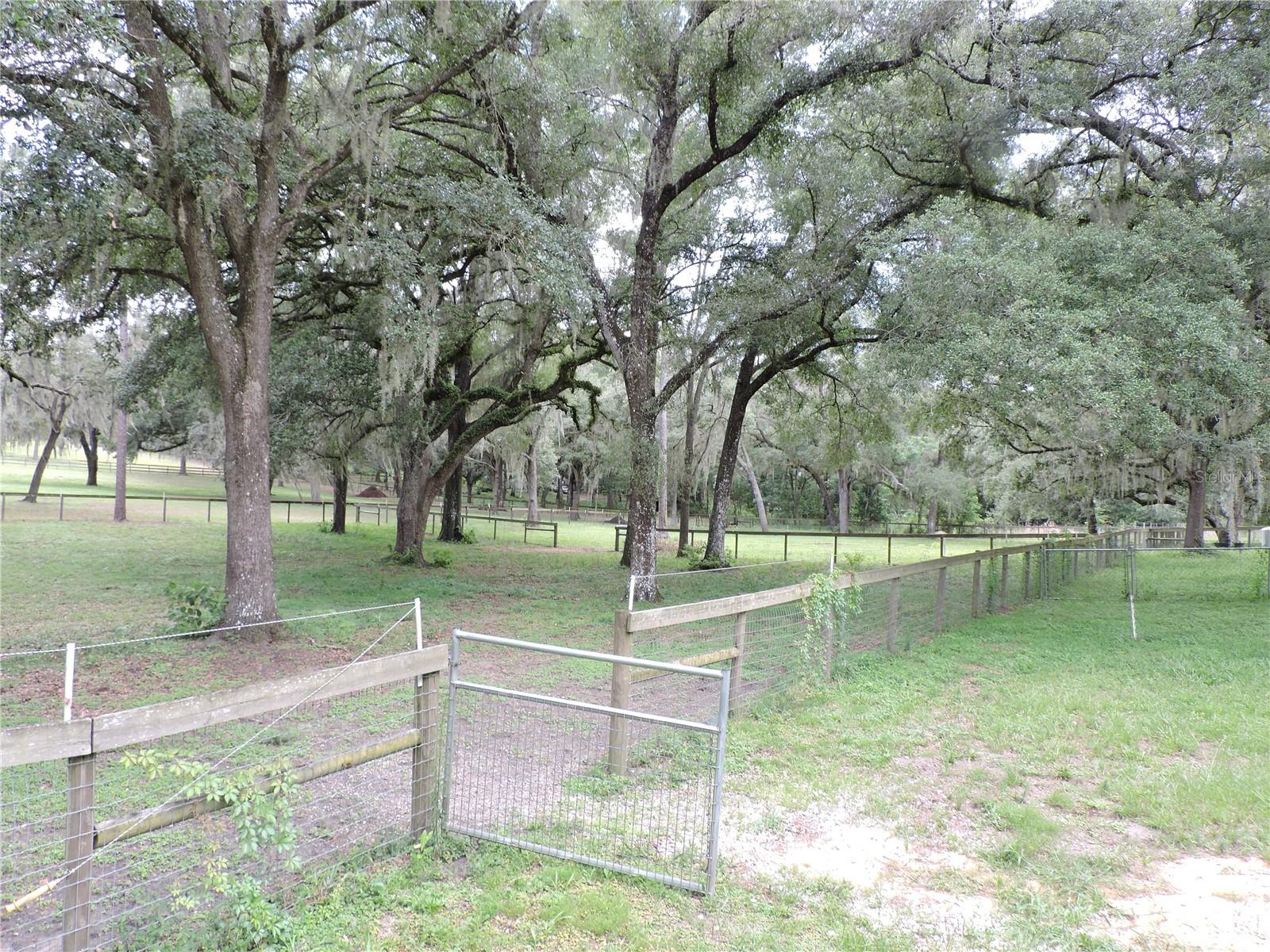 29248 WILDLIFE LN, BROOKSVILLE, FL — photo 24