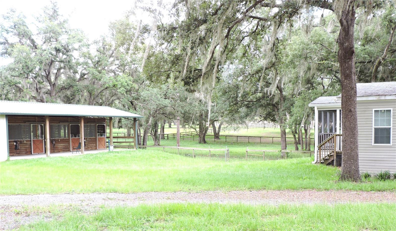 29248 WILDLIFE LN, BROOKSVILLE, FL — photo 29