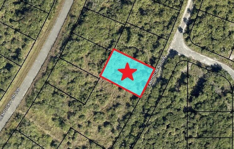 2466 LANDRUM AVE SW, PALM BAY, FL