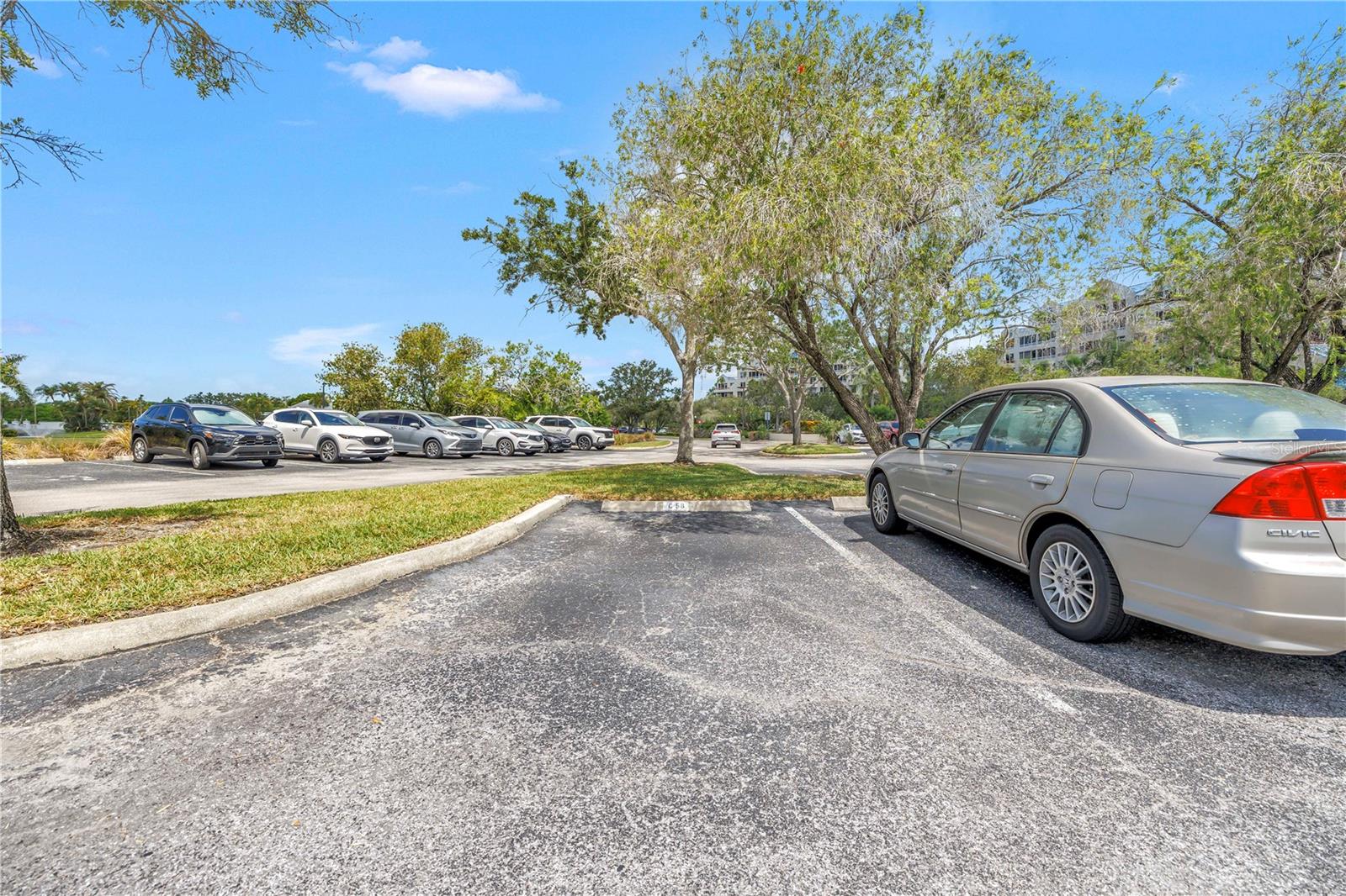 2333 FEATHER SOUND DR #C201, CLEARWATER, FL — photo 25