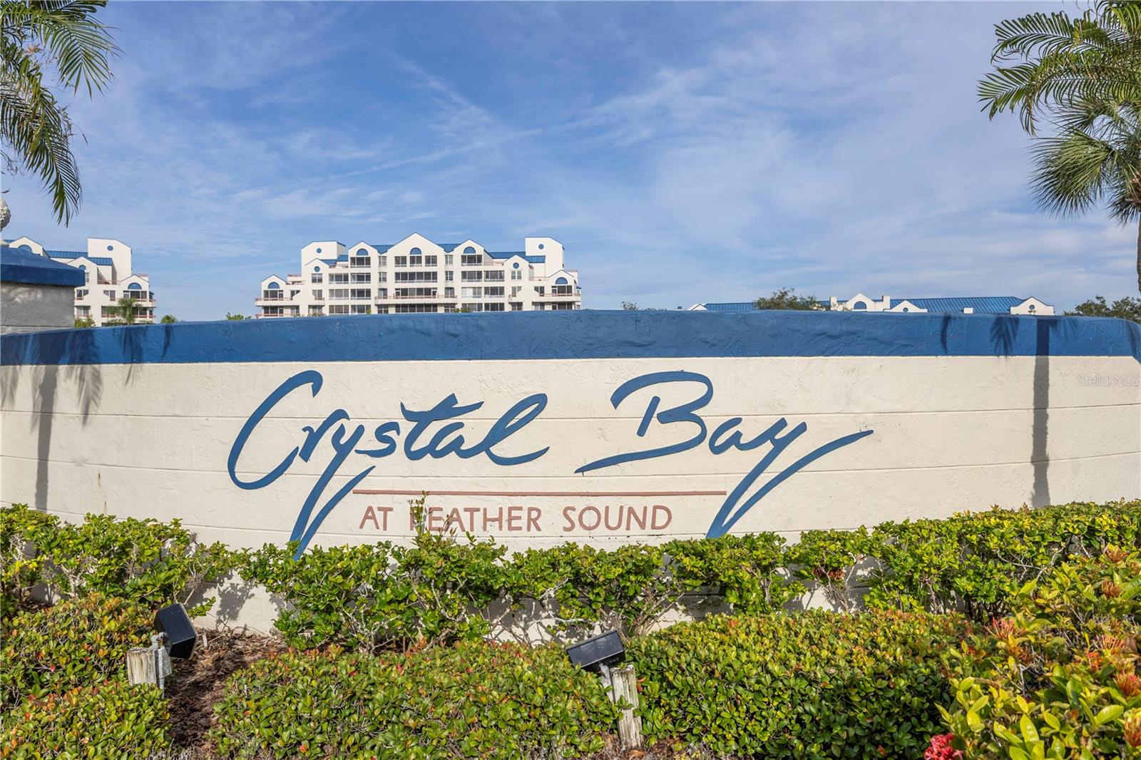 2333 FEATHER SOUND DR #C201, CLEARWATER, FL — photo 43