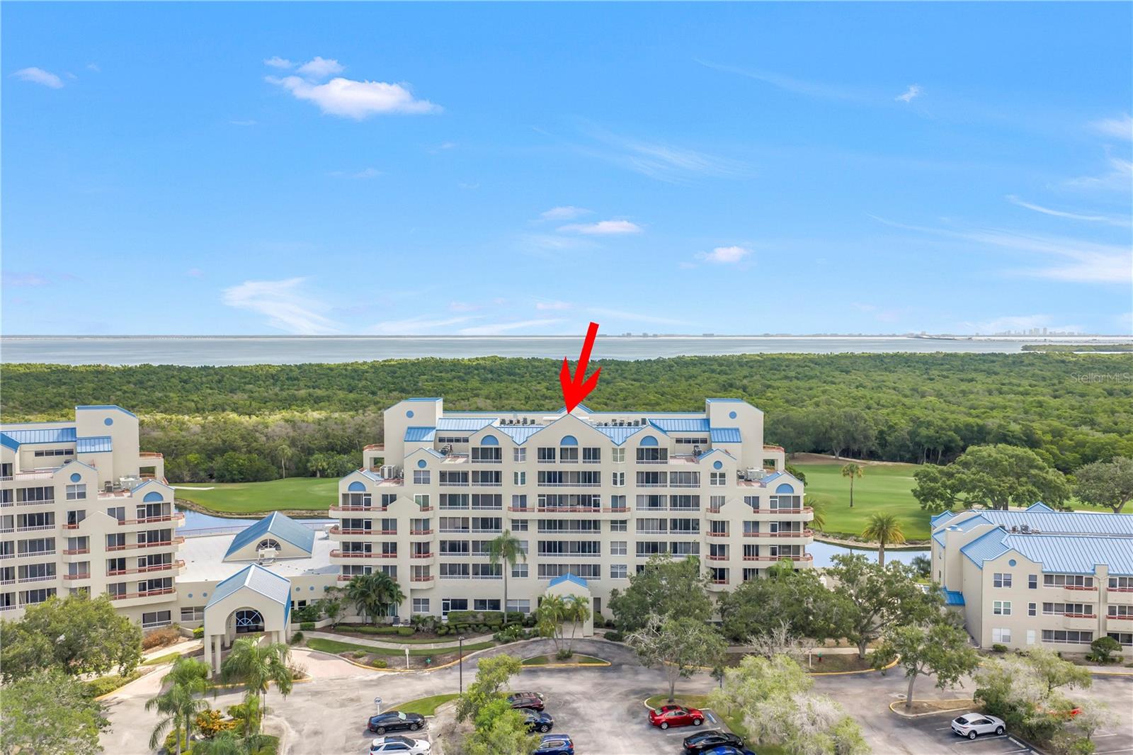2333 FEATHER SOUND DR #C201, CLEARWATER, FL — photo 44