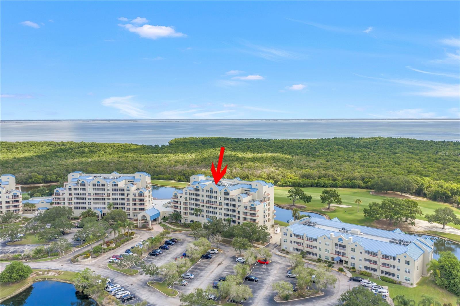 2333 FEATHER SOUND DR #C201, CLEARWATER, FL — photo 45