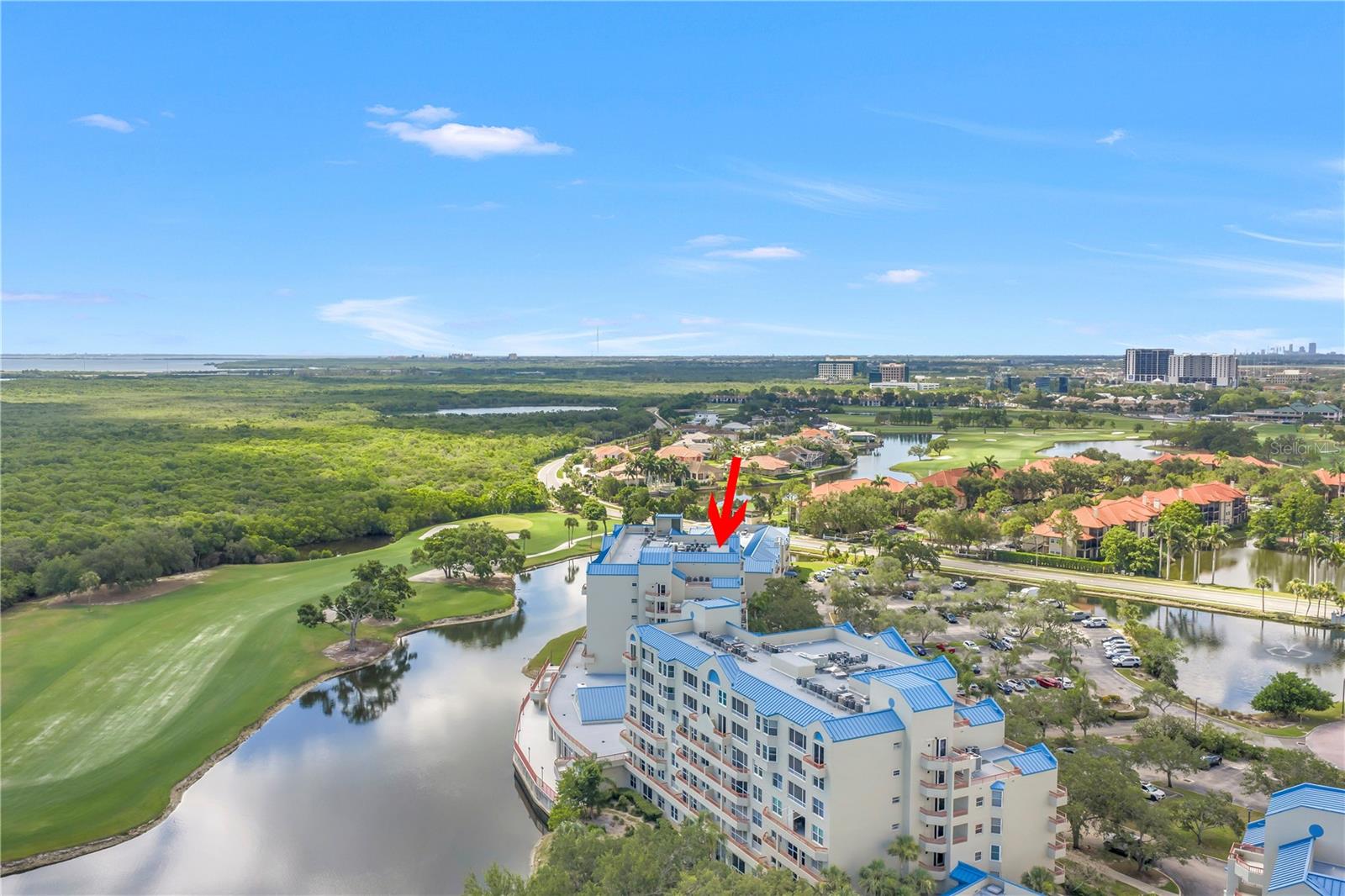 2333 FEATHER SOUND DR #C201, CLEARWATER, FL — photo 47