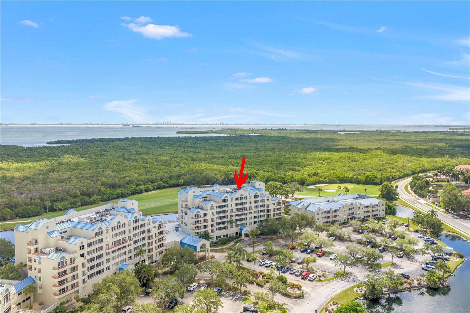 2333 FEATHER SOUND DR #C201, CLEARWATER, FL — photo 48