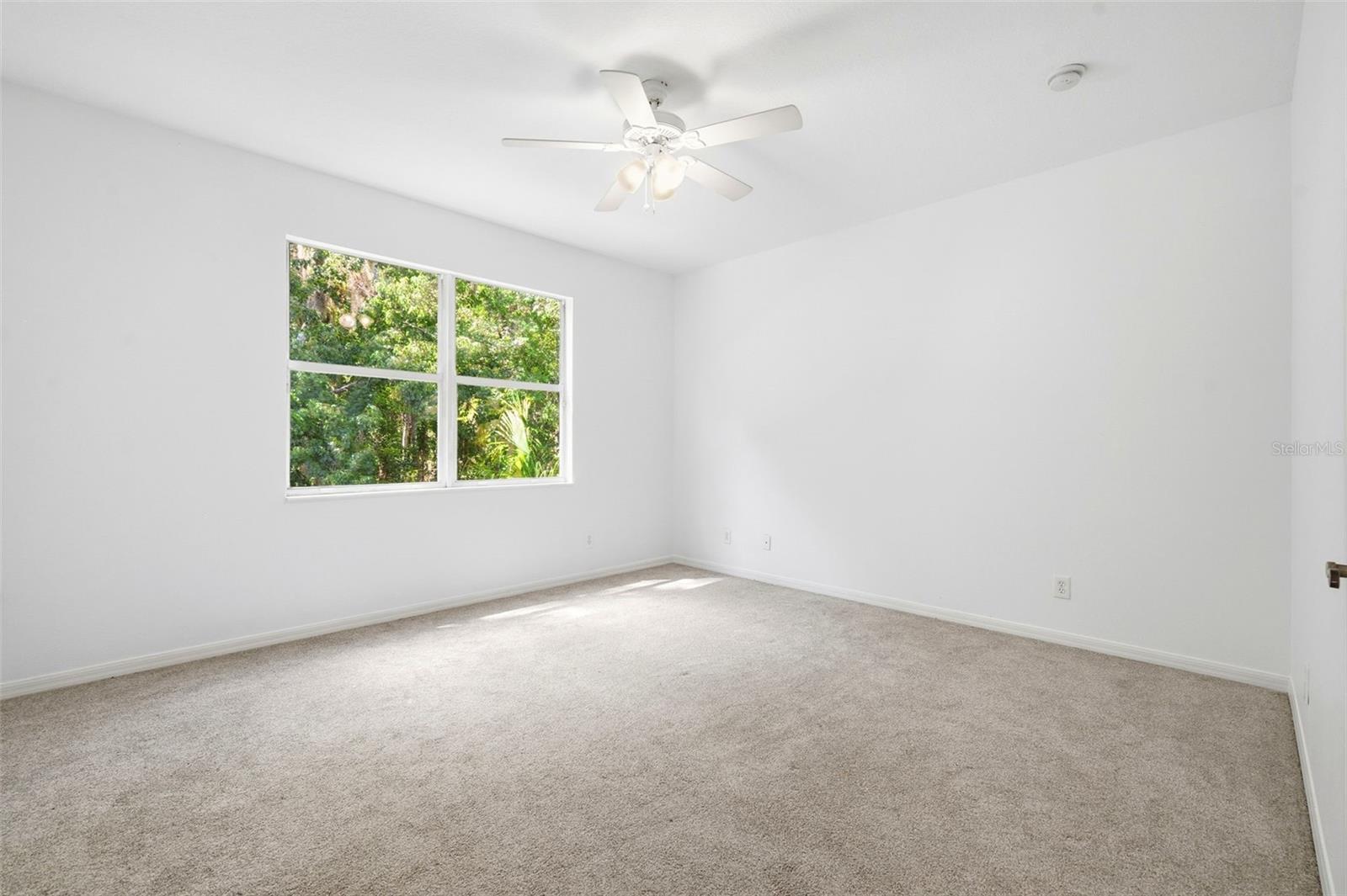 3449 LOGGERHEAD WAY, WESLEY CHAPEL, FL — photo 25