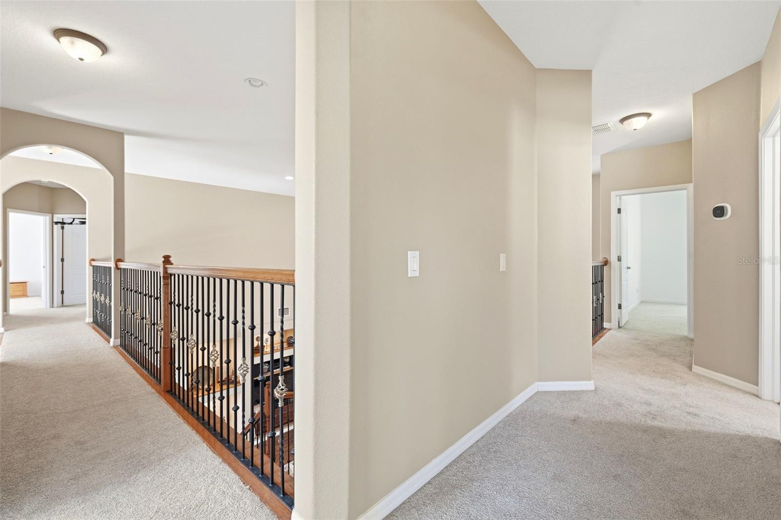 3449 LOGGERHEAD WAY, WESLEY CHAPEL, FL — photo 33