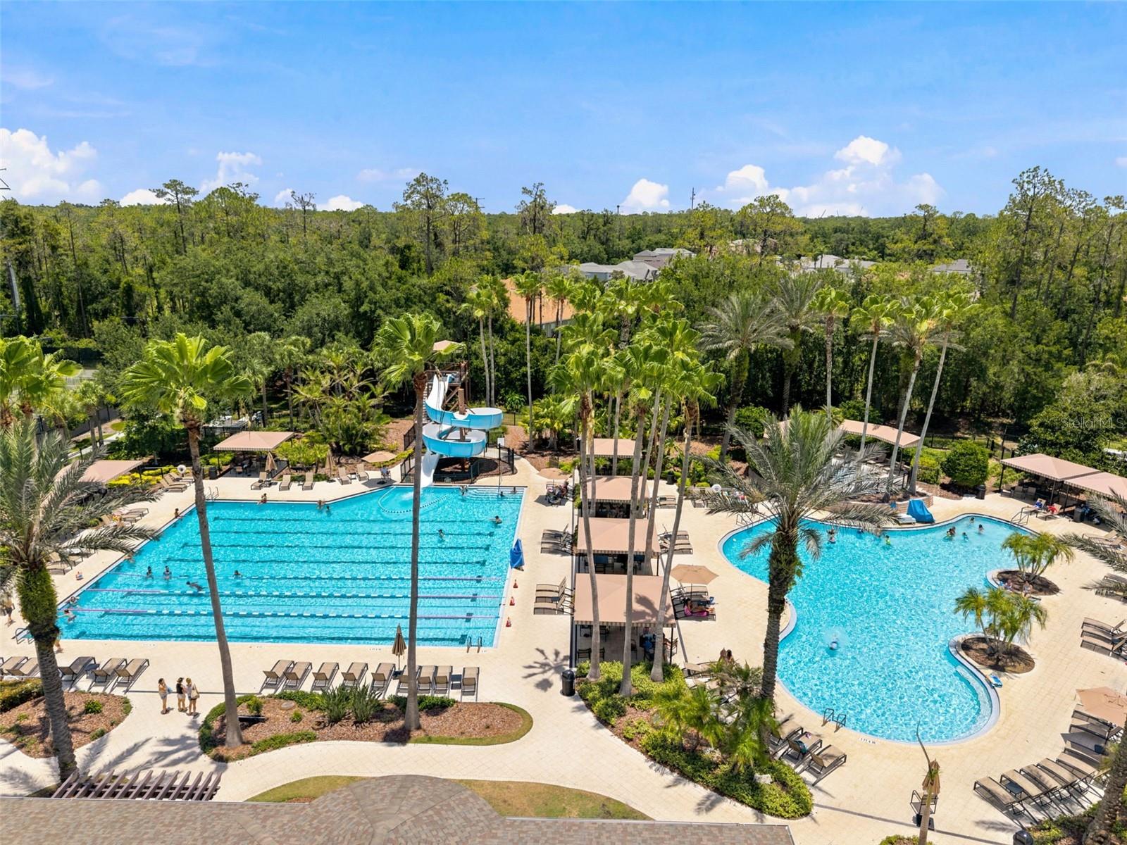 3449 LOGGERHEAD WAY, WESLEY CHAPEL, FL — photo 48