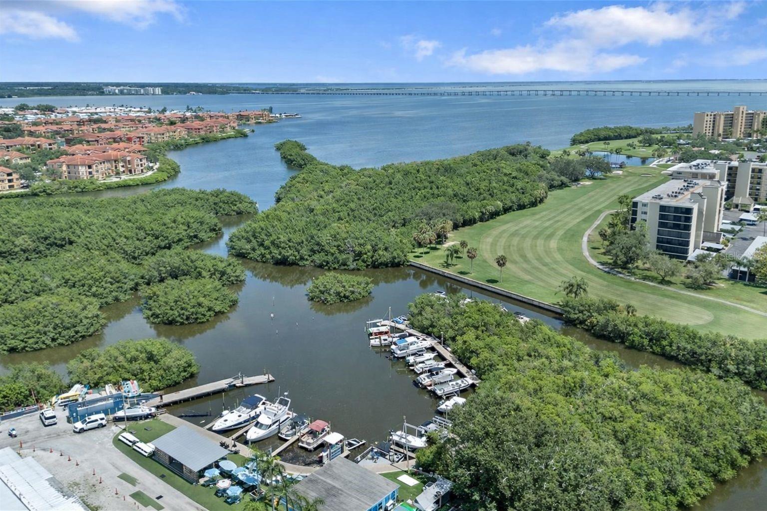 2616 COVE CAY DR #402, CLEARWATER, FL — photo 25