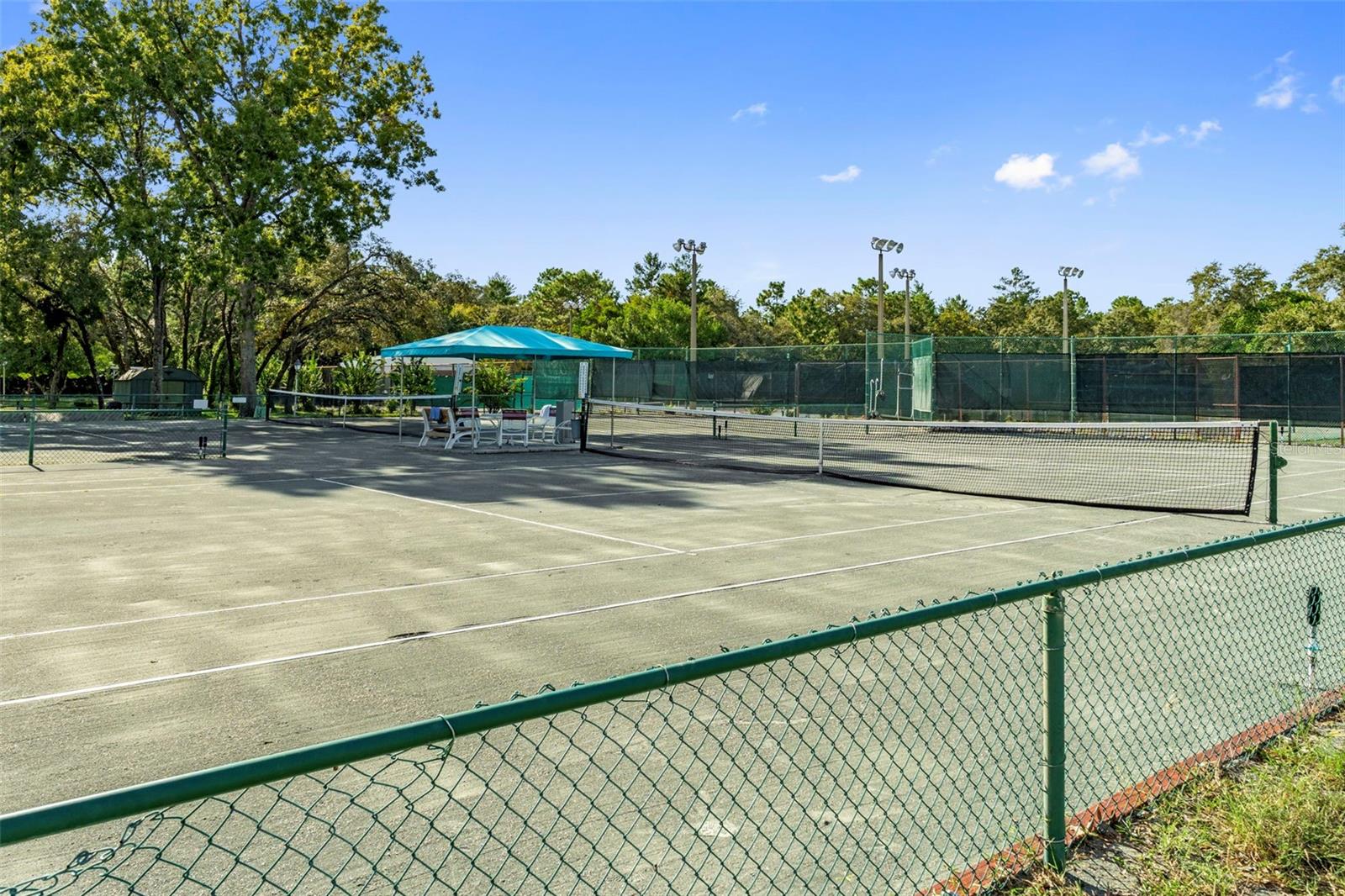 2 BALSAM DR, HOMOSASSA, FL — photo 60