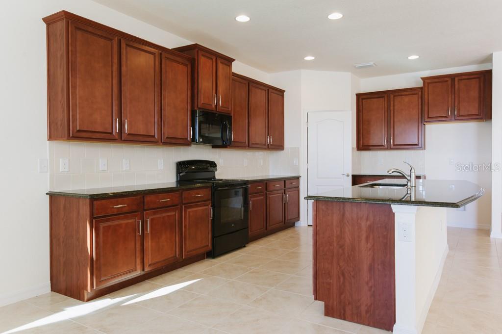 15543 TRINITY FALL WAY, BRADENTON, FL — photo 4