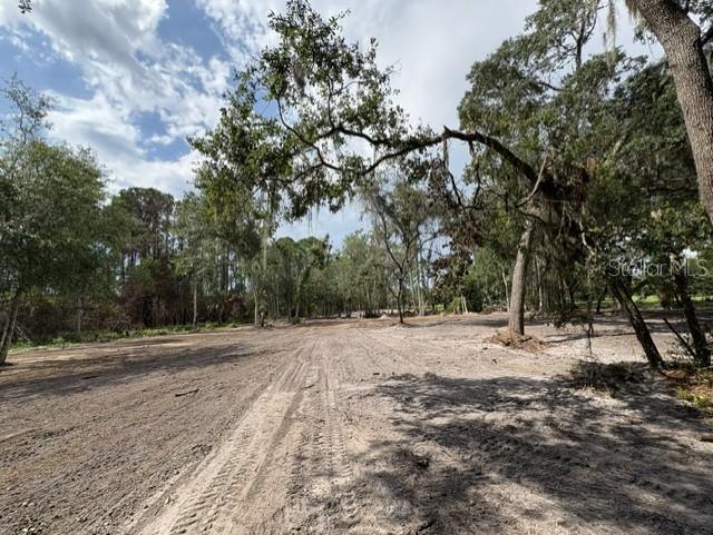 COUNTY ROAD 309, CRESCENT CITY, FL — photo 2