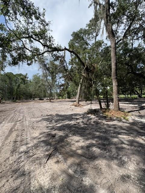 COUNTY ROAD 309, CRESCENT CITY, FL — photo 3