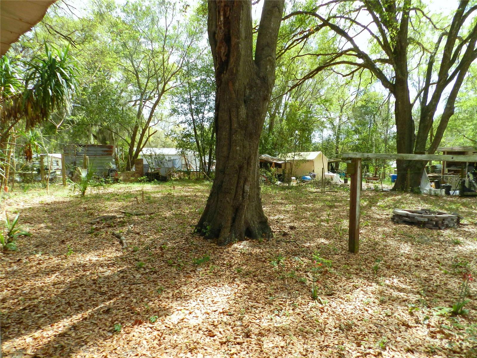 755 SW JASMINE AVE, KEYSTONE HEIGHTS, FL — photo 7