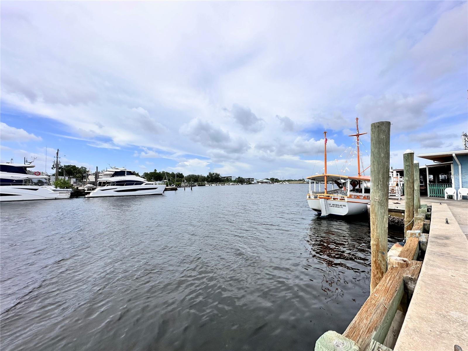 1650 NAVIGATOR LN, TARPON SPRINGS, FL — photo 57