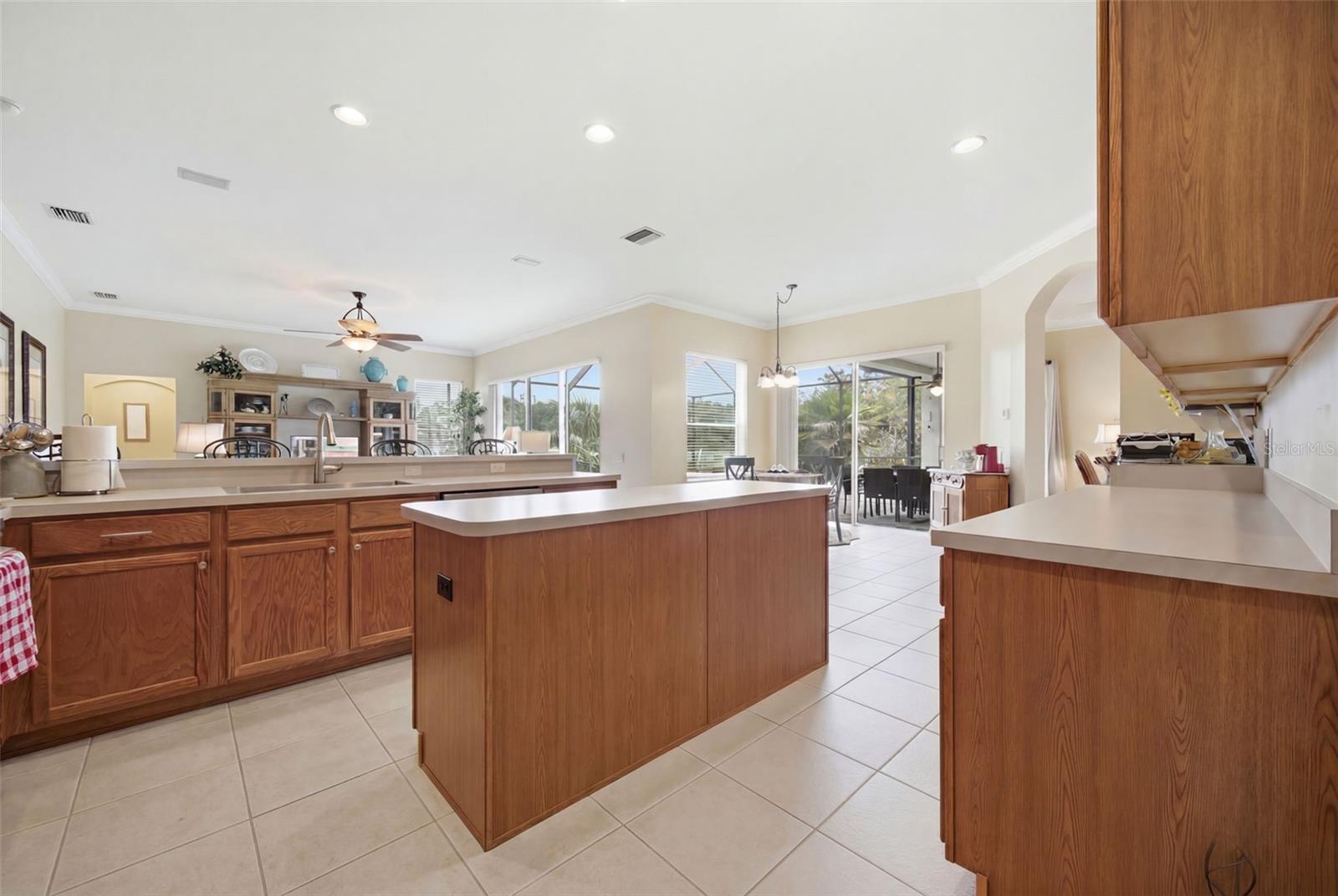 25651 FERDINAND CT, WESLEY CHAPEL, FL — photo 25