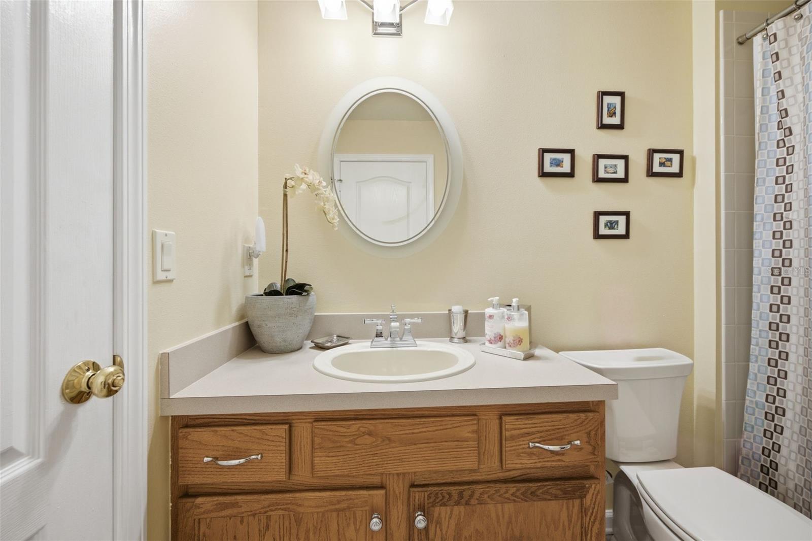 25651 FERDINAND CT, WESLEY CHAPEL, FL — photo 35