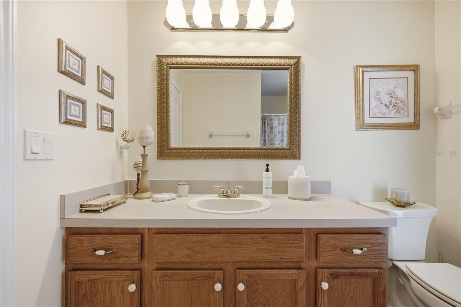 25651 FERDINAND CT, WESLEY CHAPEL, FL — photo 40