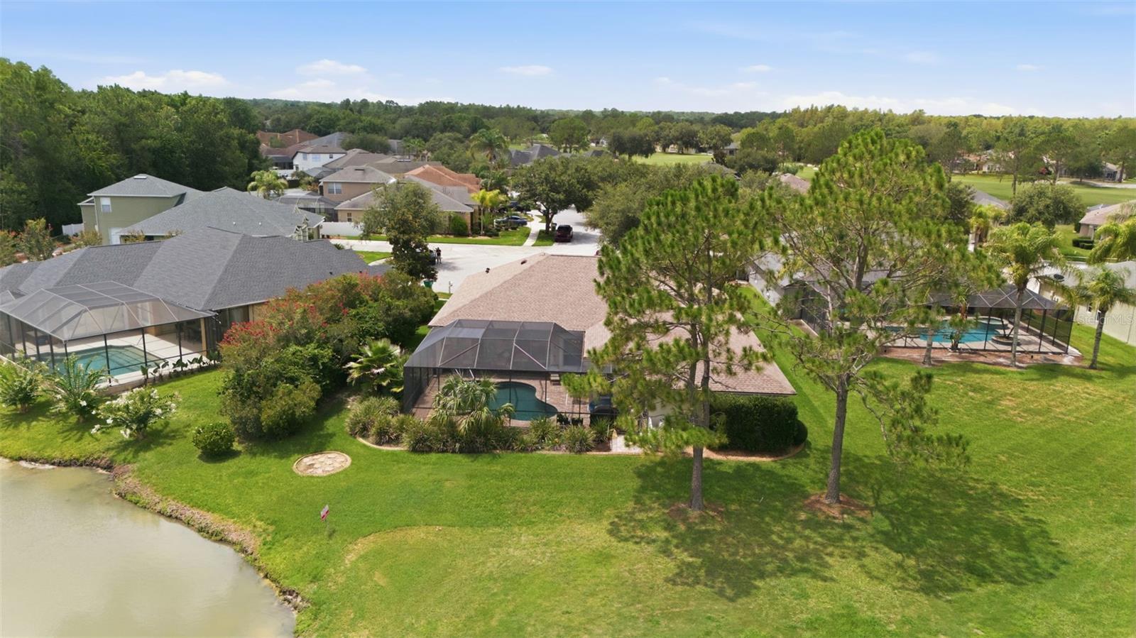 25651 FERDINAND CT, WESLEY CHAPEL, FL — photo 57