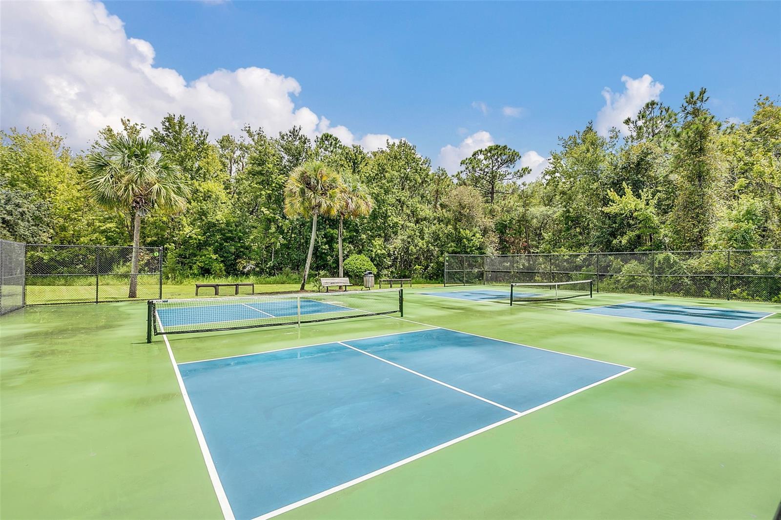 10558 GREEN IVY LN, ORLANDO, FL — photo 34