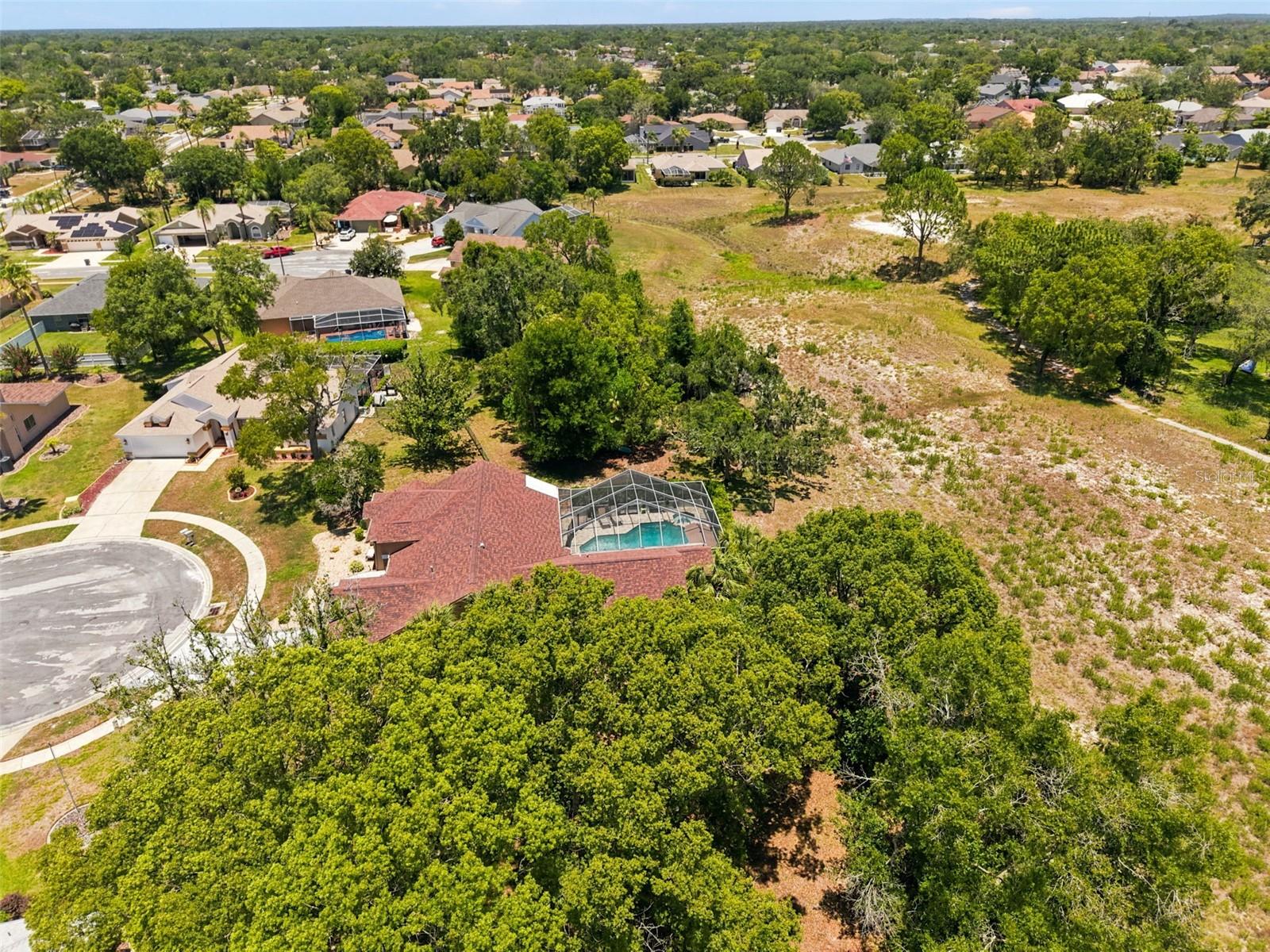 10296 WINDSOR CT, SPRING HILL, FL — photo 57
